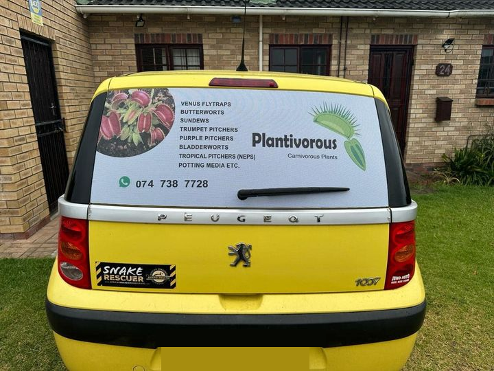 Plantivorous Branding